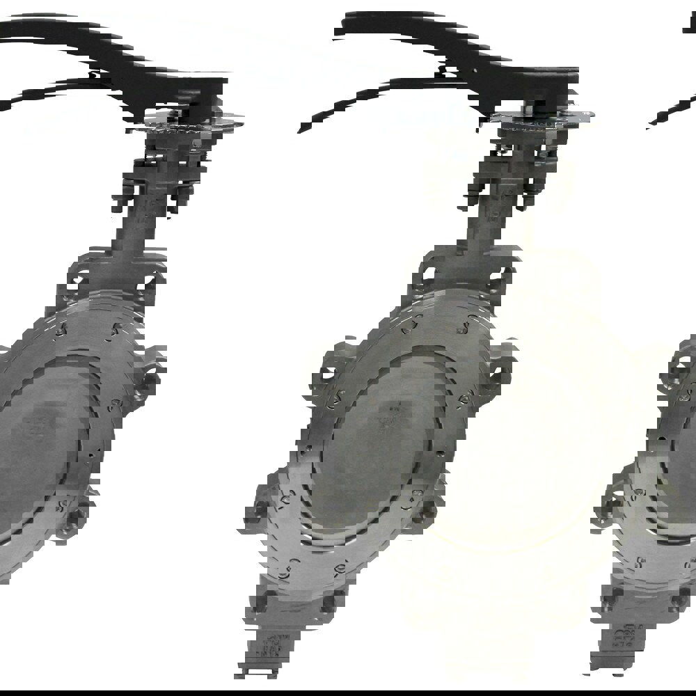 Manual Lug Butterfly Valve: 3